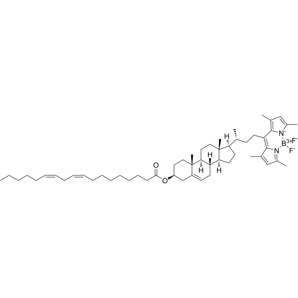 BODIPY 480/508-cholesteryl linoleate 2260795-60-4